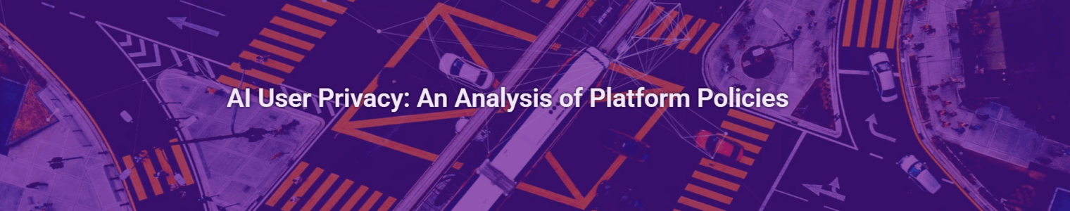 AI User Privacy: An Analysis of Platform Policies